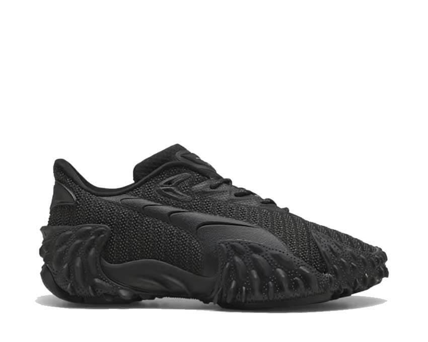PUMA picture