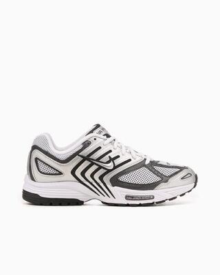 Nike Air Pegasus 2005