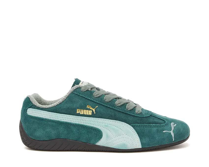 PUMA picture