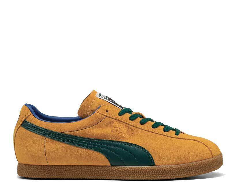 PUMA picture