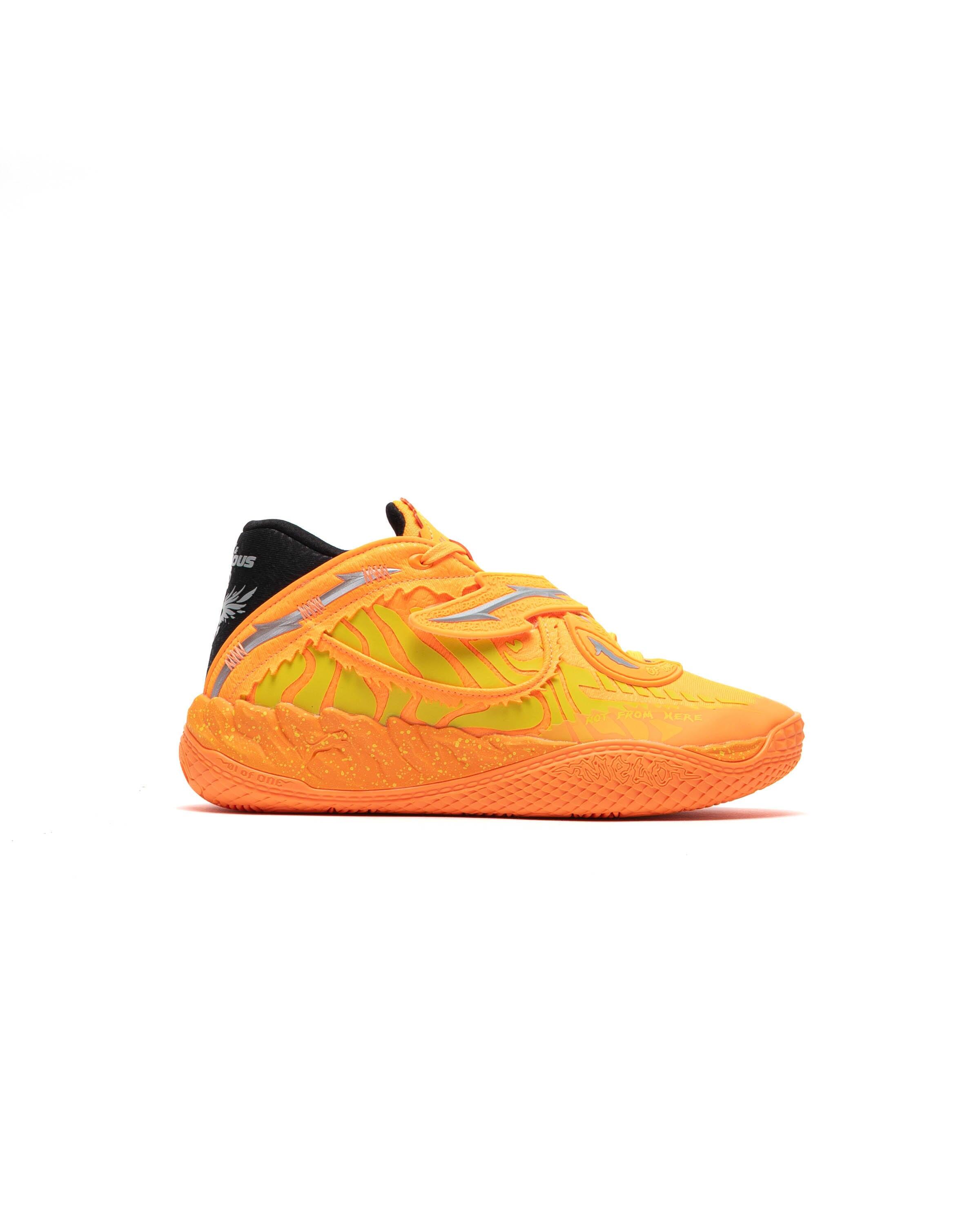 PUMA picture