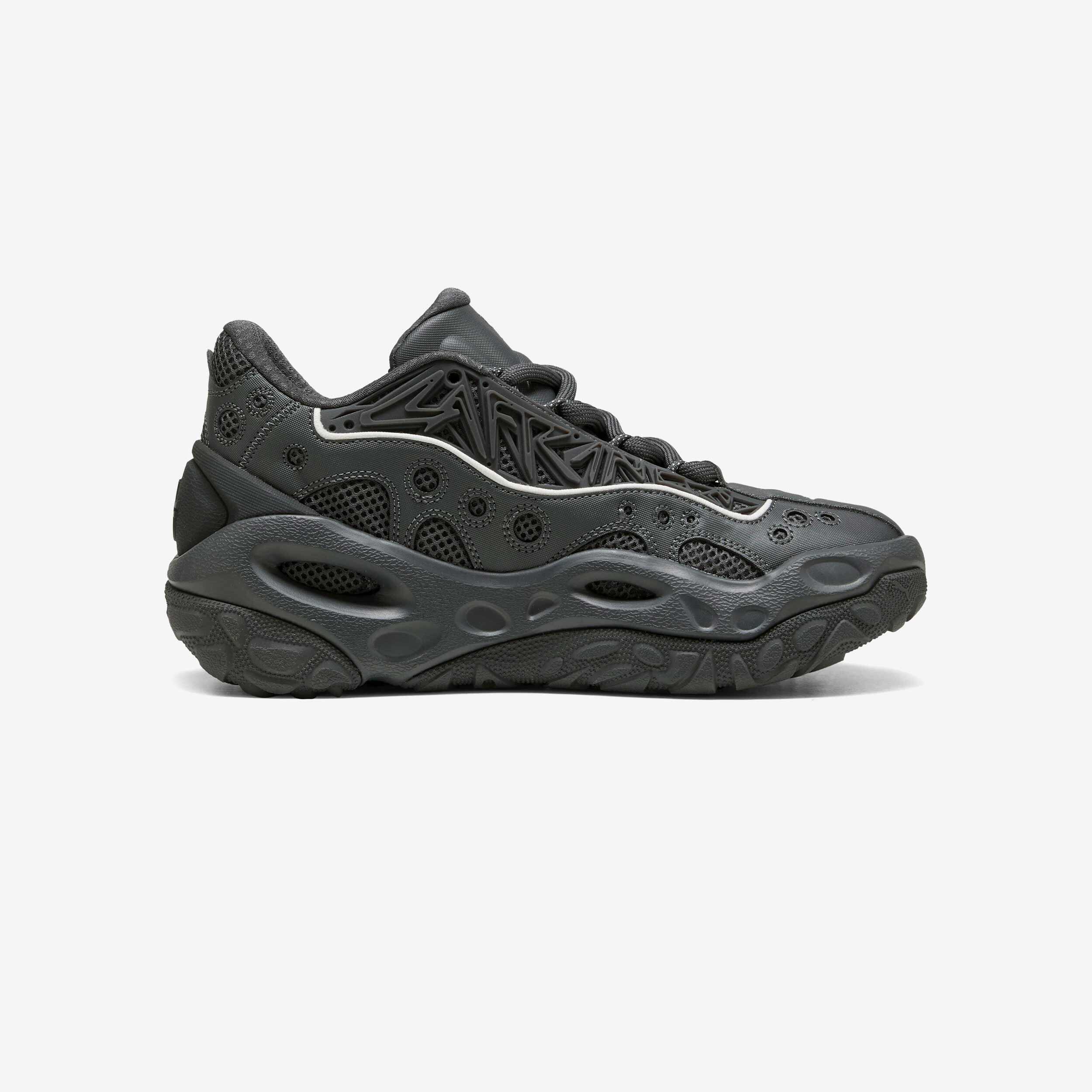 PUMA picture