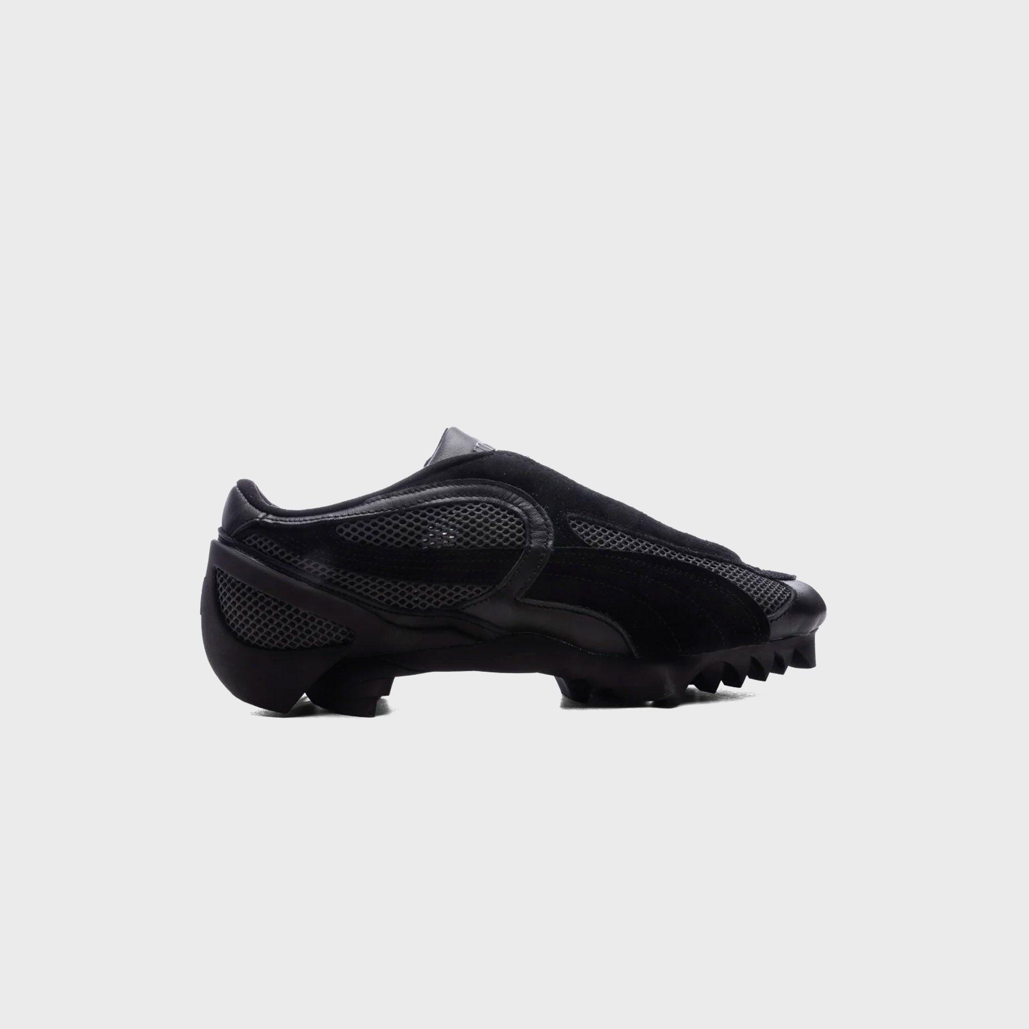 PUMA picture