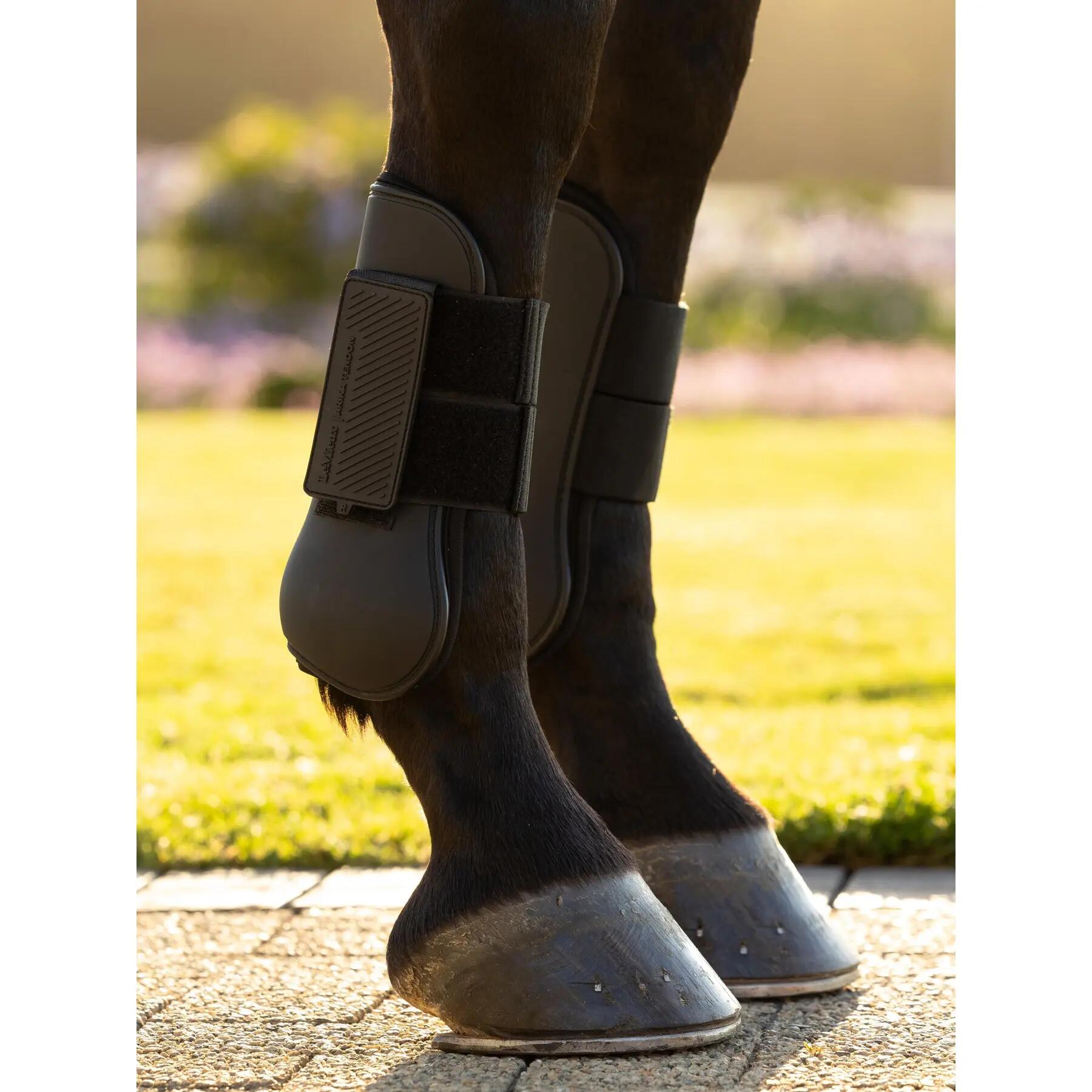 Open Tendons for Horse LeMieux Arika 3/5