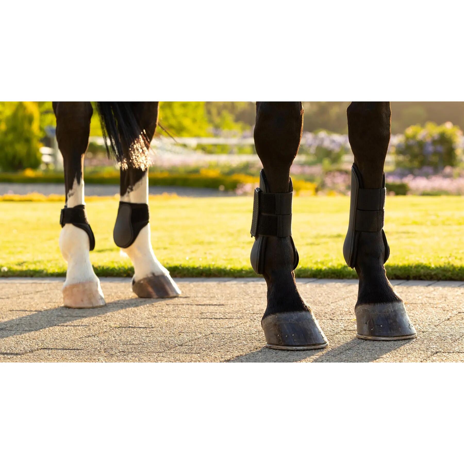 Open Tendons for Horse LeMieux Arika 5/5