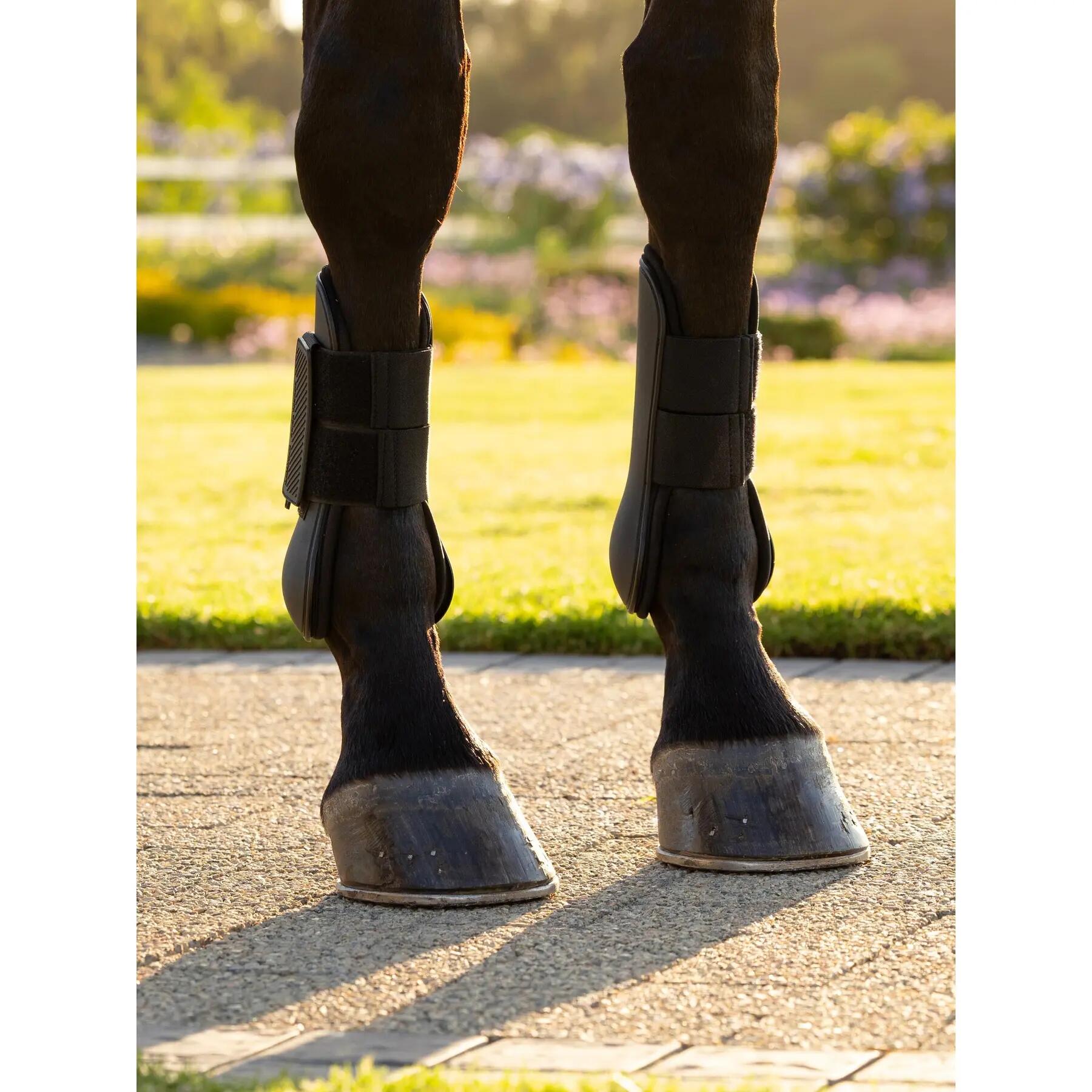 Open Tendons for Horse LeMieux Arika 4/5