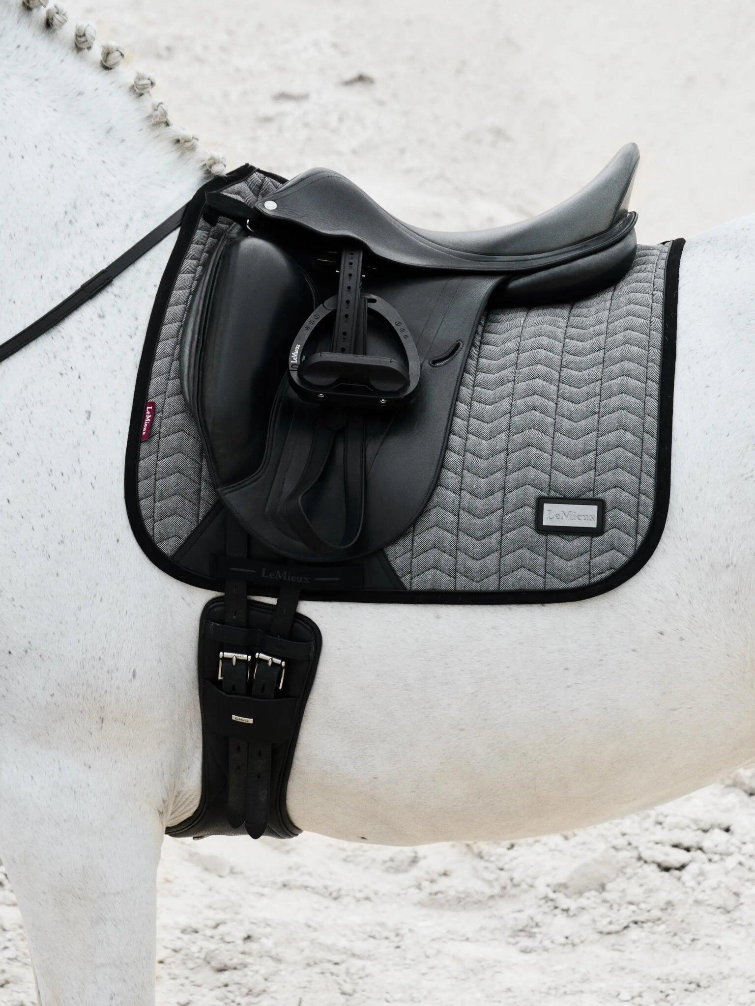 Dressuurmat voor paarden LeMieux Dressage Aspen 4/7