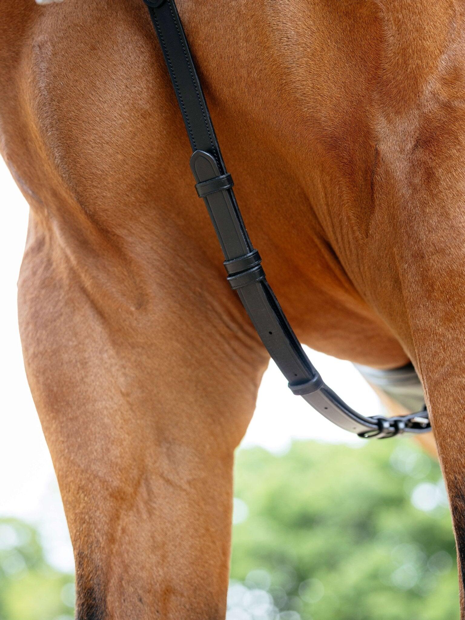 Collier de chasse pour cheval LeMieux Kudos 3/5