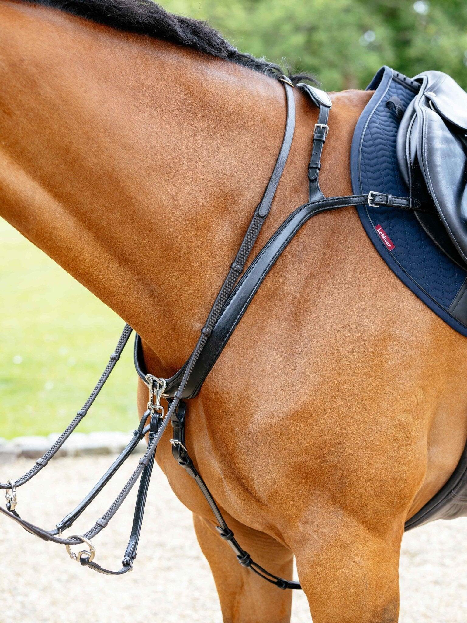 Jachthalsband voor paarden LeMieux Kudos 2/5