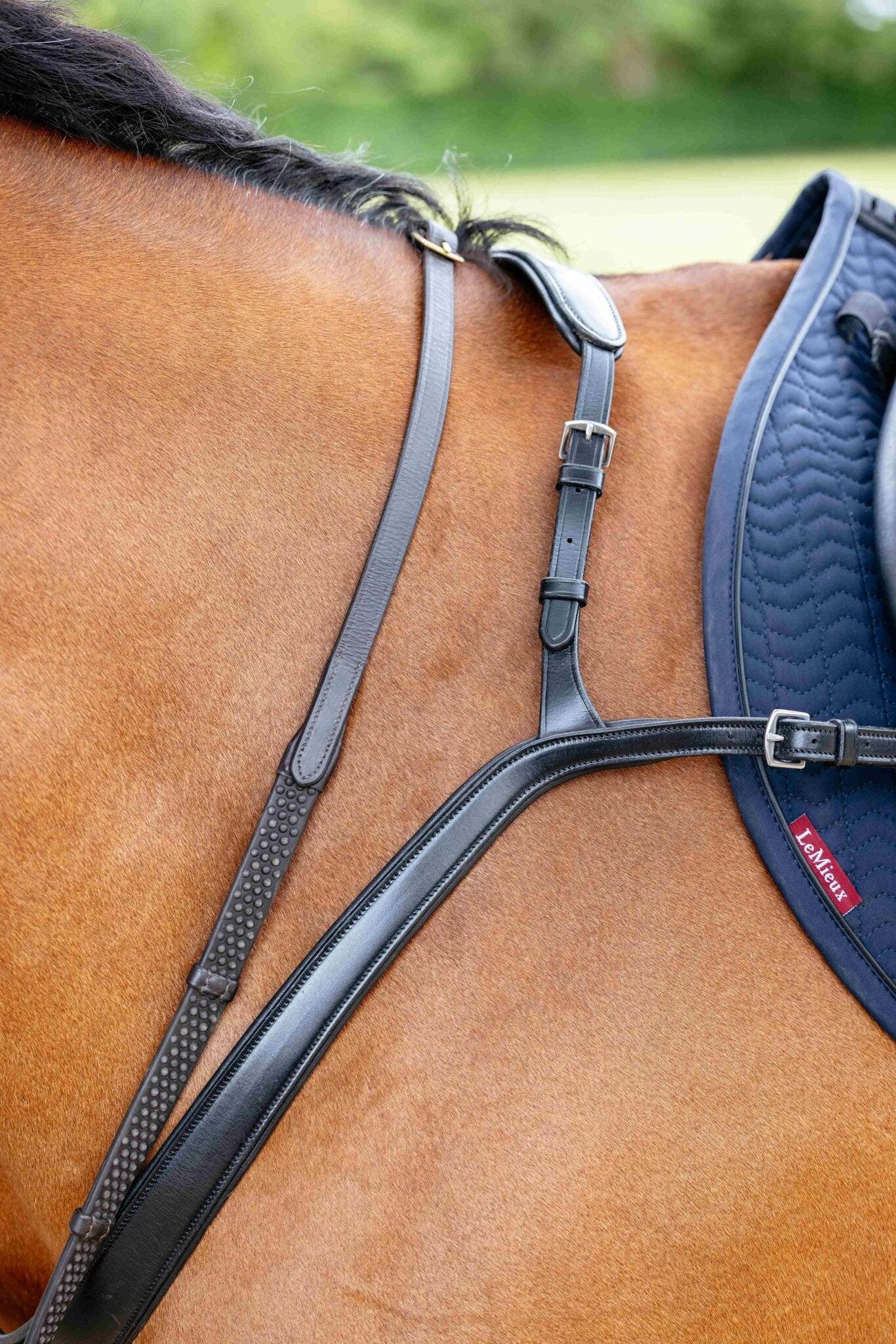 Collier de chasse pour cheval LeMieux Kudos 4/5