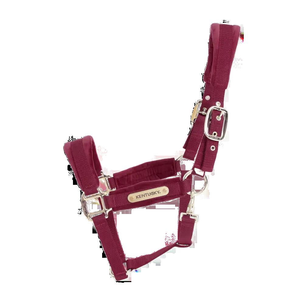 Velvet Halter red Full 6/7