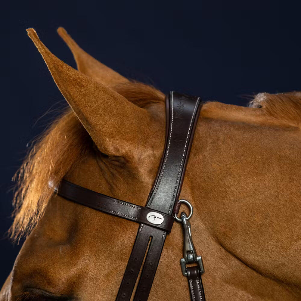 Briglia snaffle in pelle piatta con moschettoni Dy'on 3/5