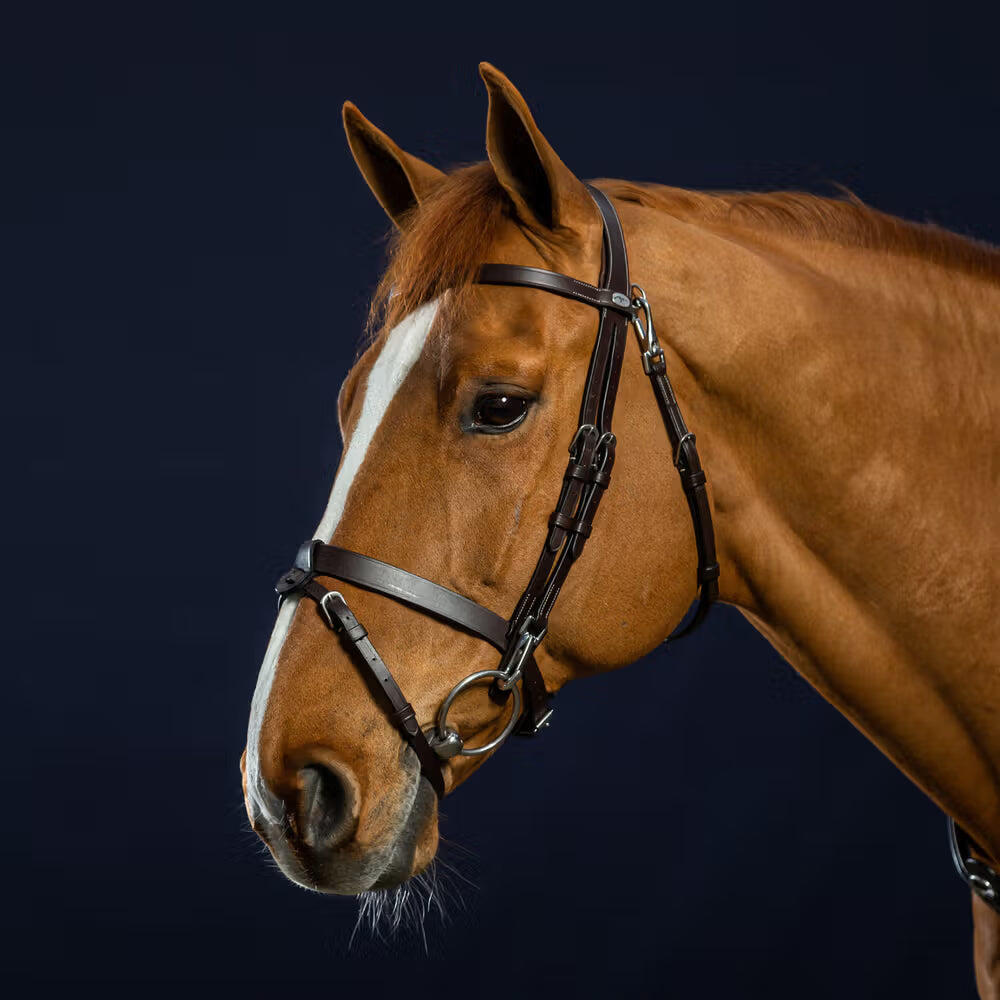 Briglia snaffle in pelle piatta con moschettoni Dy'on 2/5