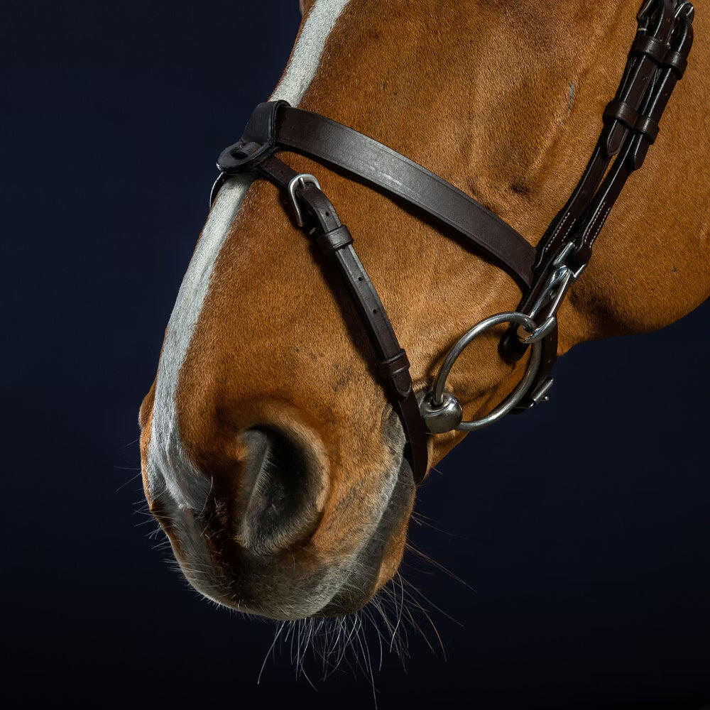 Briglia snaffle in pelle piatta con moschettoni Dy'on 5/5