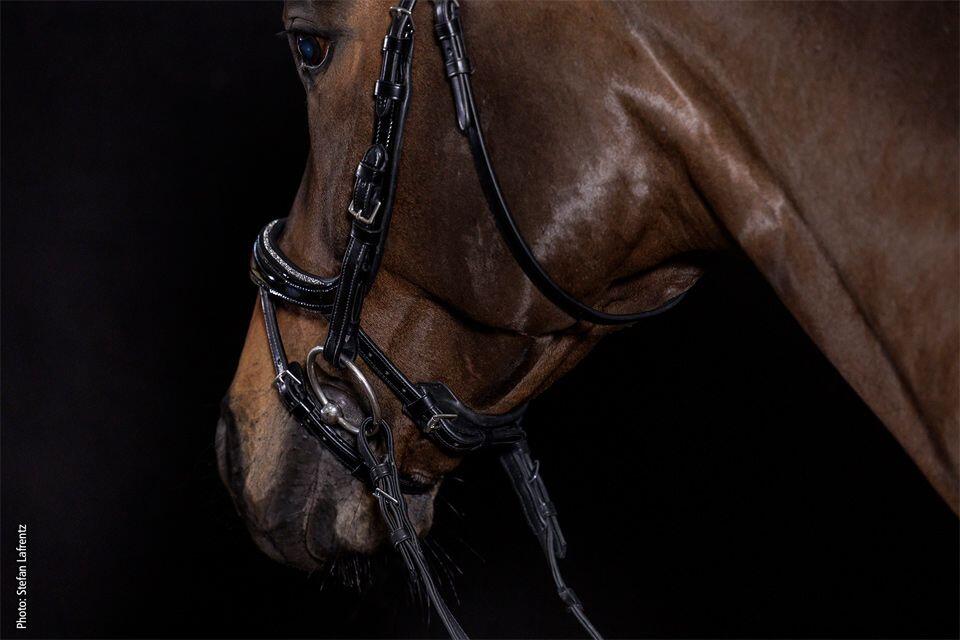 Bridon équitation anatomique Schockemöehle Equitus Beta Glam 4/6
