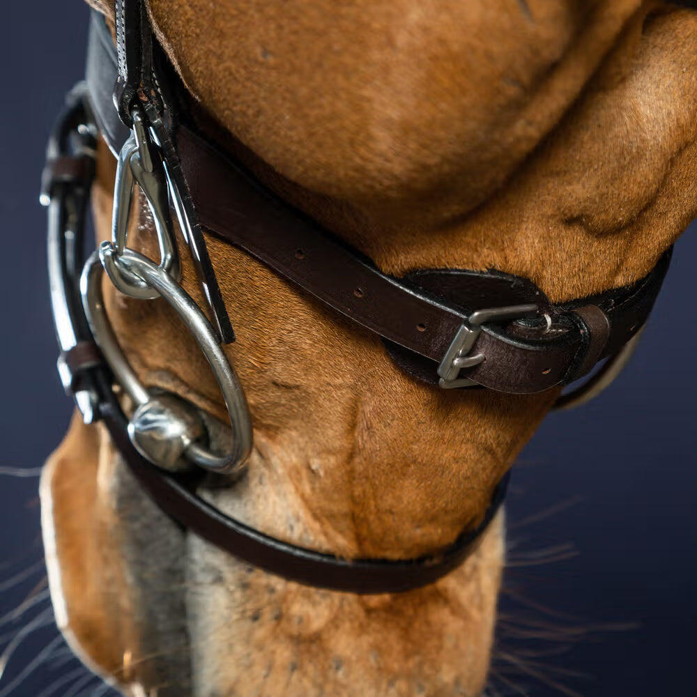 Briglia snaffle in pelle piatta con moschettoni Dy'on 4/5
