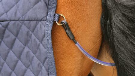Courroie de queue pony 2/2