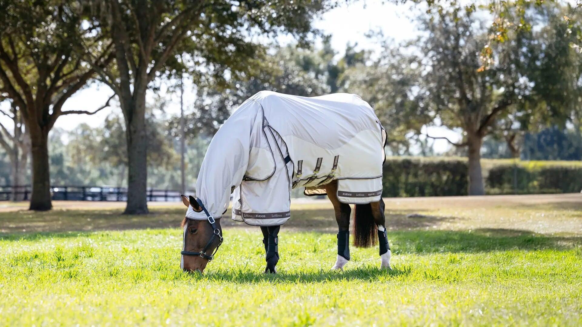 Couverture pour cheval anti-dermatite LeMieux Kudos Shower Pro 3/3