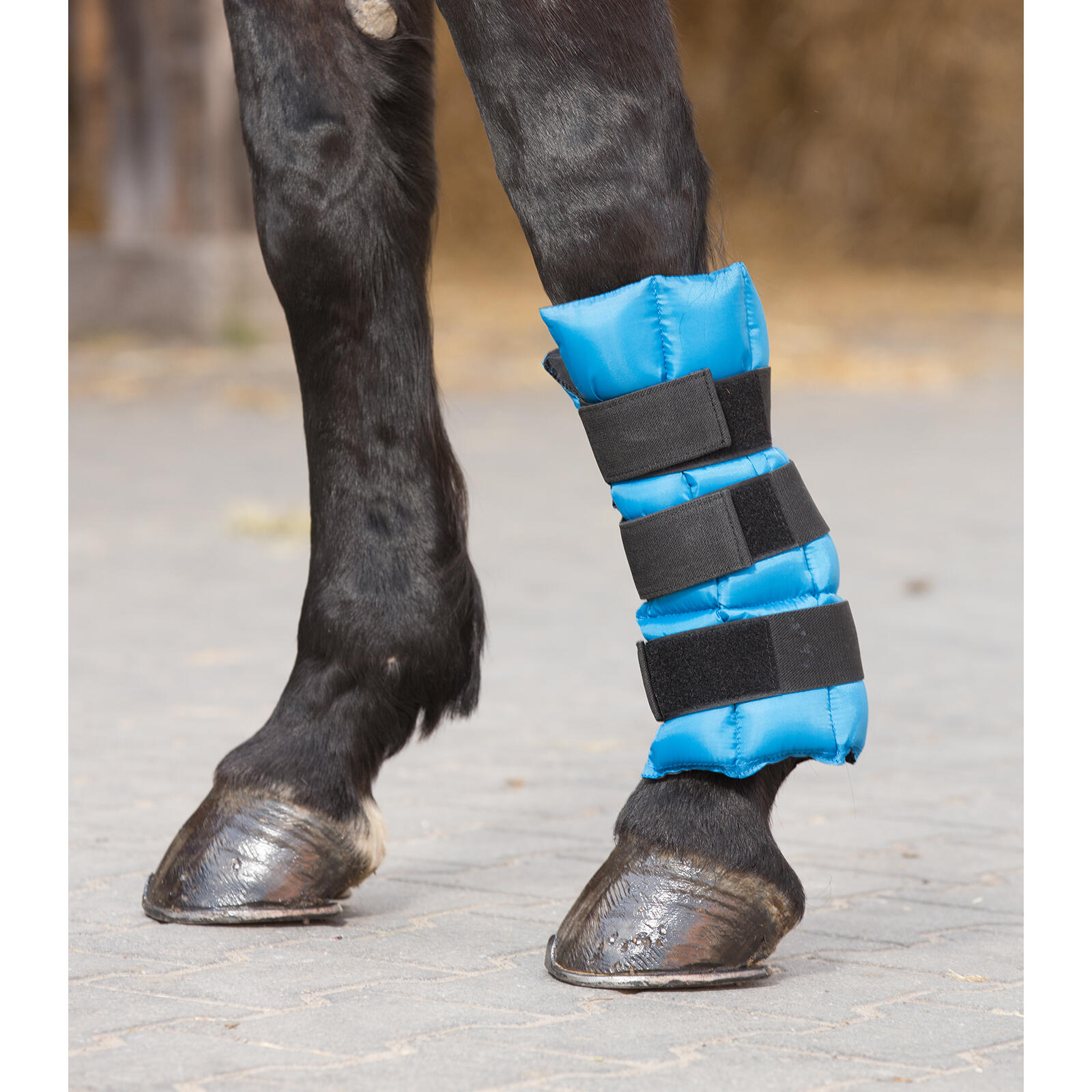 Guêtre rafraîchissante pour cheval Waldhausen 2/3
