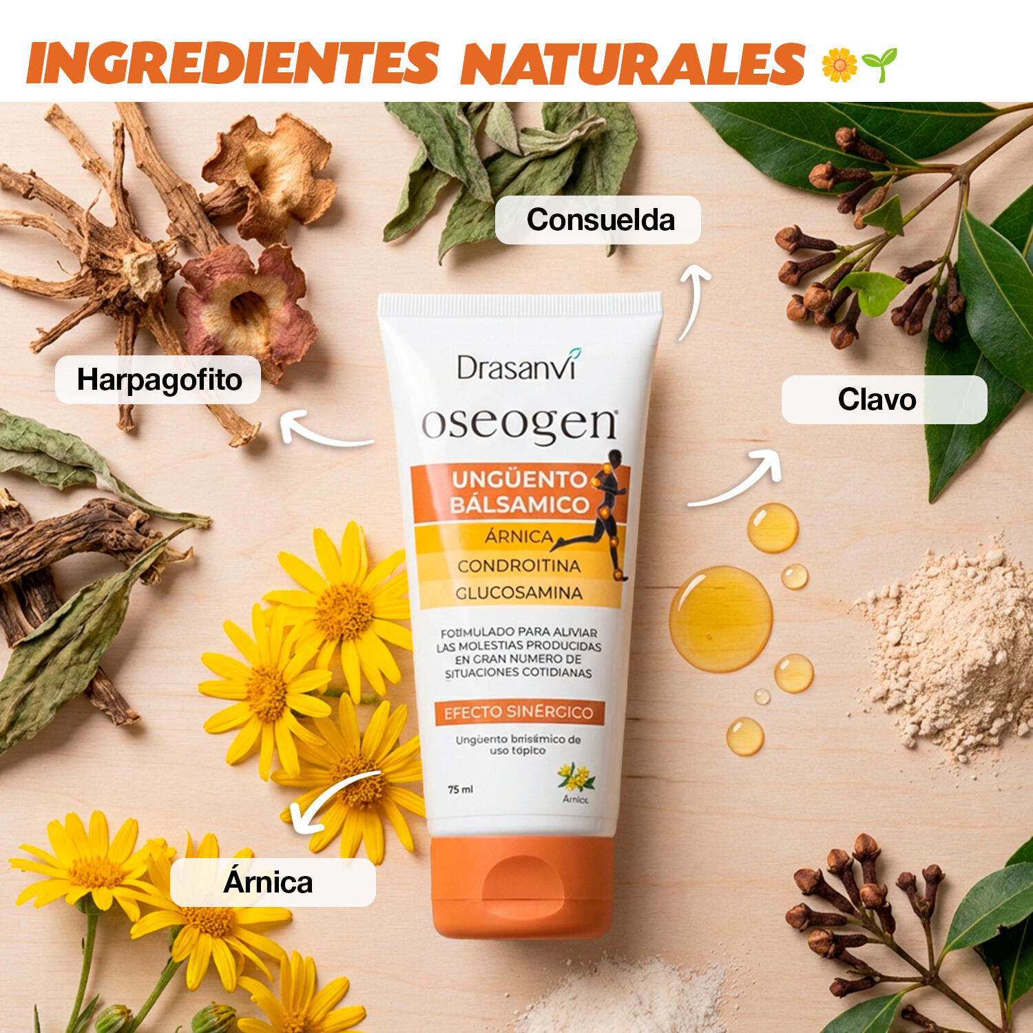 Oseogen Ünguento - Para el dolor articular - Uso tópico - 75ml - DRASANVI 3/6