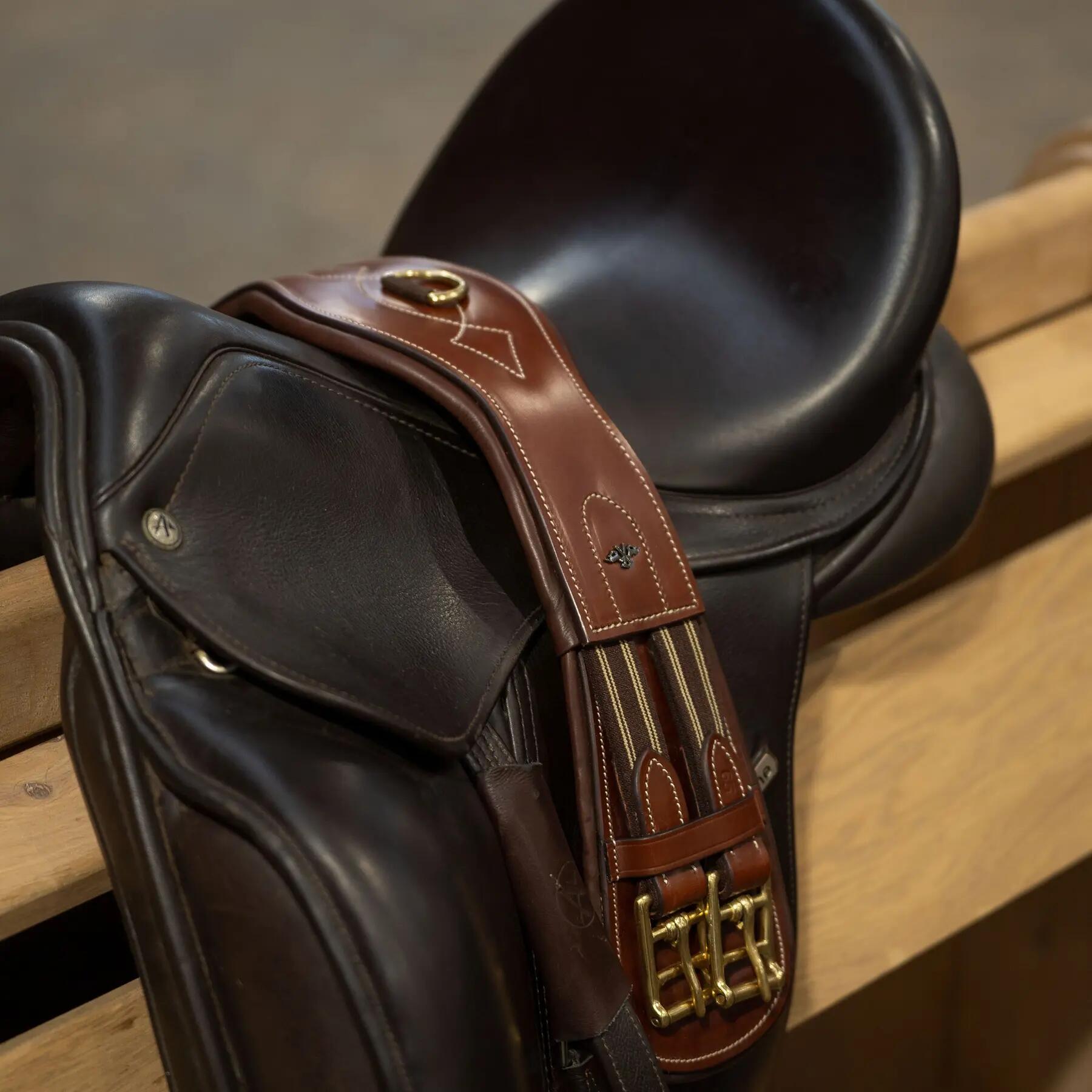 Cinta de adestramento equestre HV Polo Legacy 2/3
