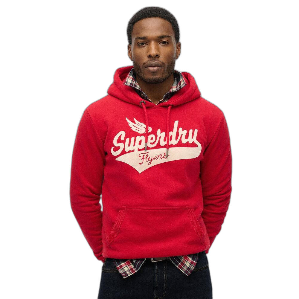 Hoodie Superdry Flyers Script 3/6