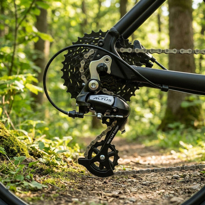 Hátsó váltó