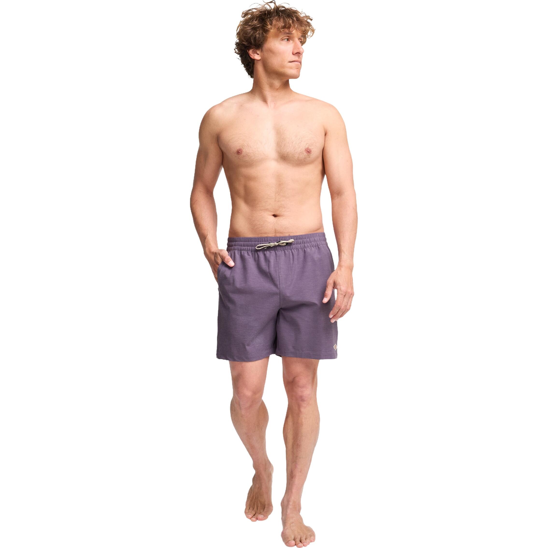 BILLABONG Billabong Badeshorts Every Other Day 17" Schwimmshorts Dusty Grape 4/6