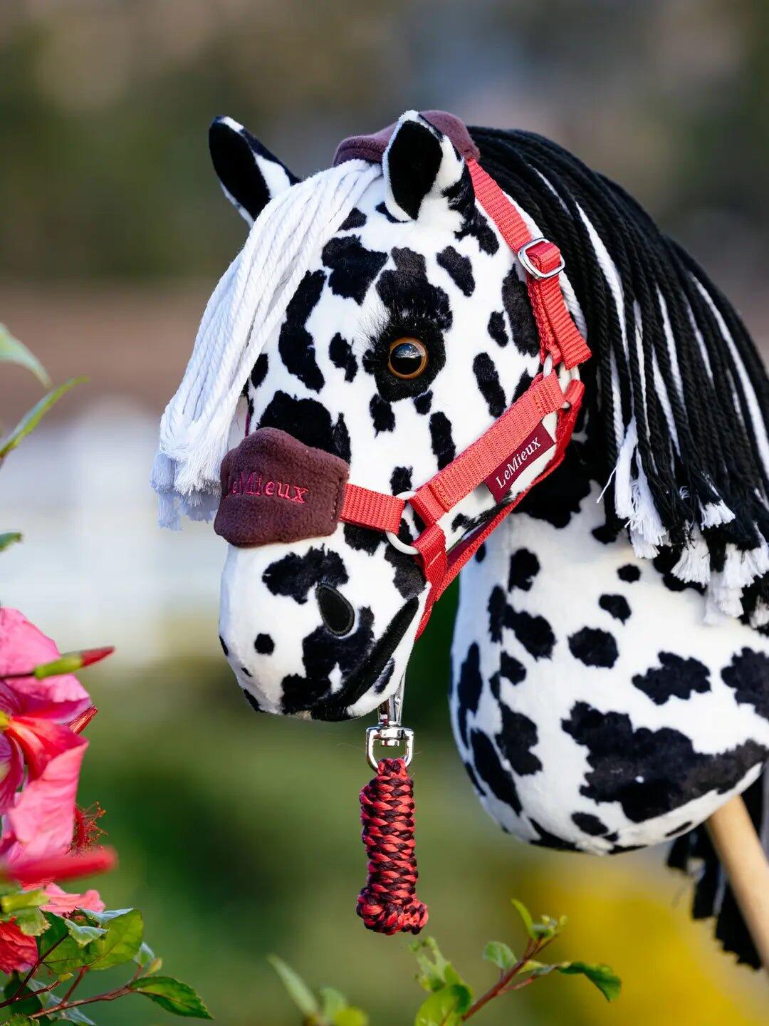 Lemieux Hobby Horse Met Afneembare Stok Kleurloos - 3/7