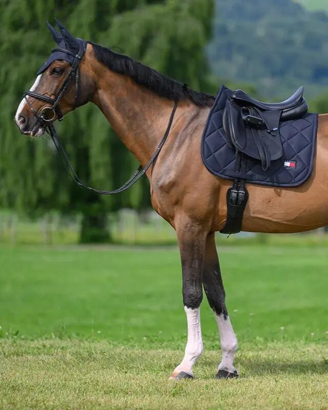 Tommy Hilfiger Equestrian Columbia Zadeldek Zwart - 7/7