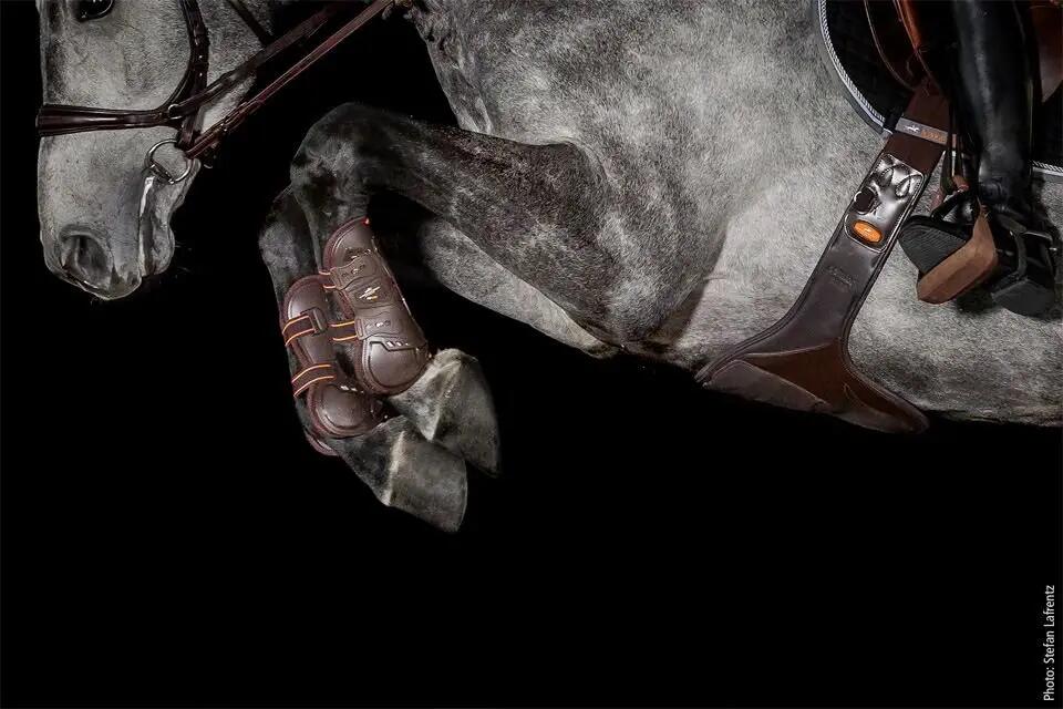 Schockemöhle Air Flow Champion Tendon Boots Bruin - 4/7
