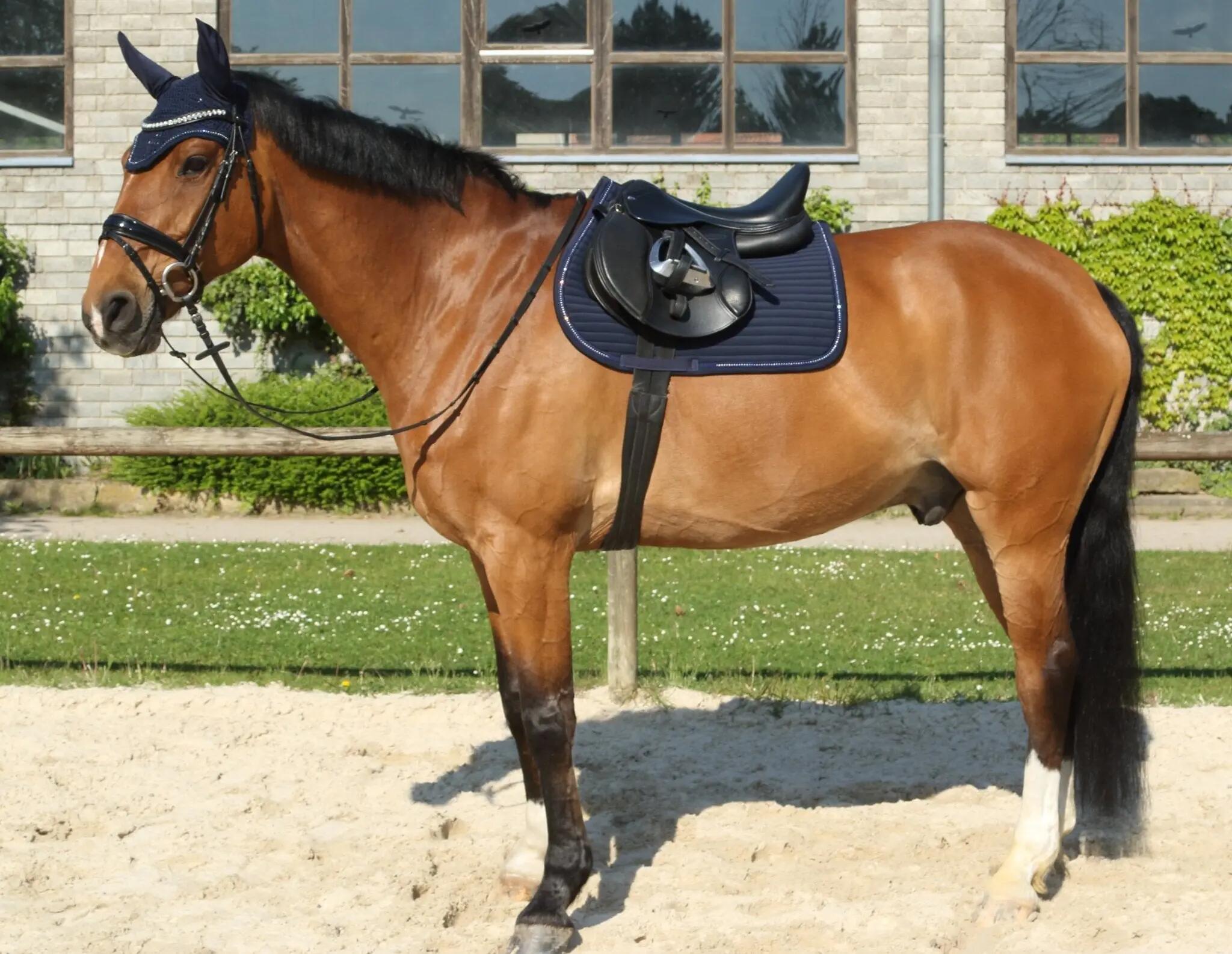 Euroriding Zadeldek Bright Met Kristallen Luxe & Comfort Blauw - 6/6