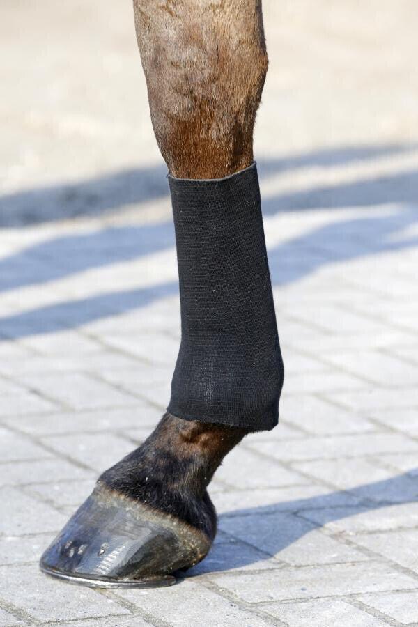 Chaussette Tendon Grip Gel pour cheval Kentucky 7/7