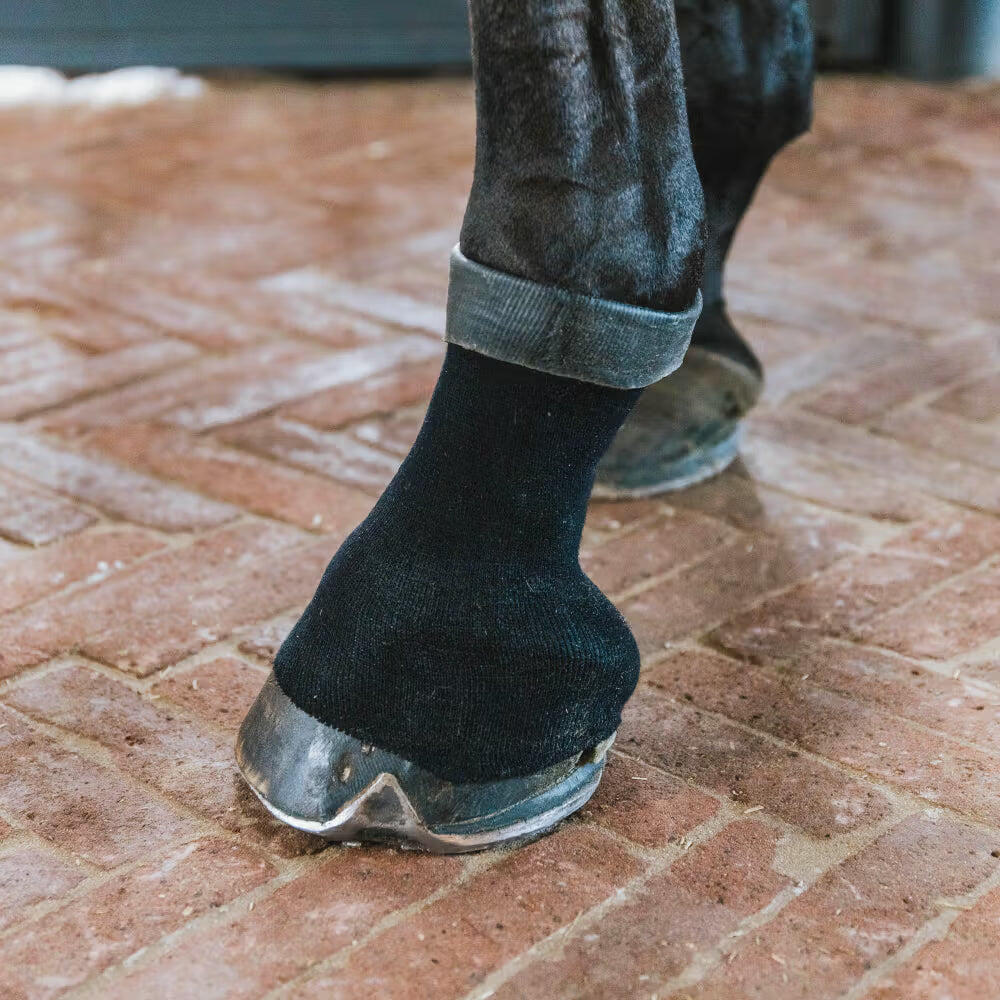 Chaussette Tendon Grip Gel pour cheval Kentucky 3/7