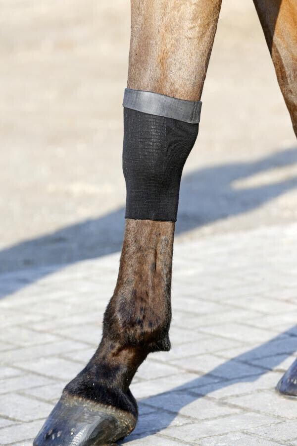 Chaussette Tendon Grip Gel pour cheval Kentucky 6/7