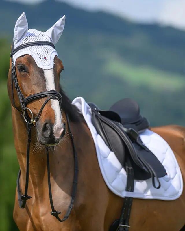 Tommy Hilfiger Equestrian Liberty Zadeldek Zwart - 6/7