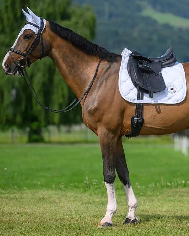 Tommy Hilfiger Equestrian Liberty Zadeldek Zwart - 5/7