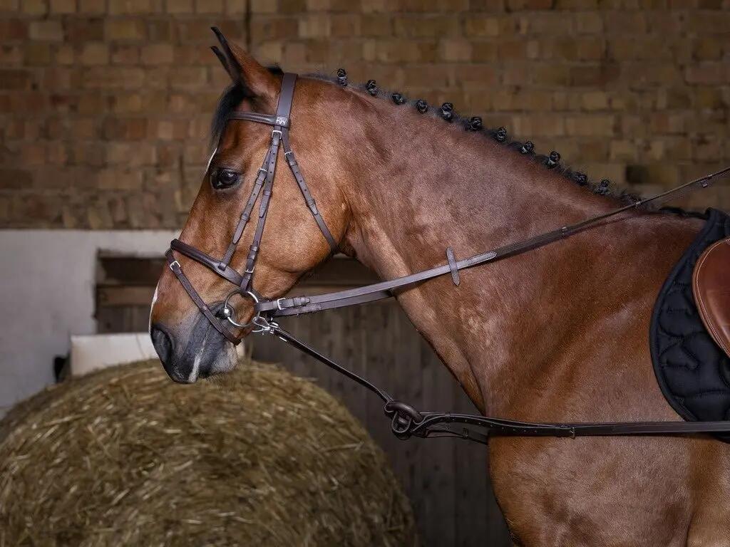Riding World Rubber Bijzetteugels Zwart Kleurloos - 3/3