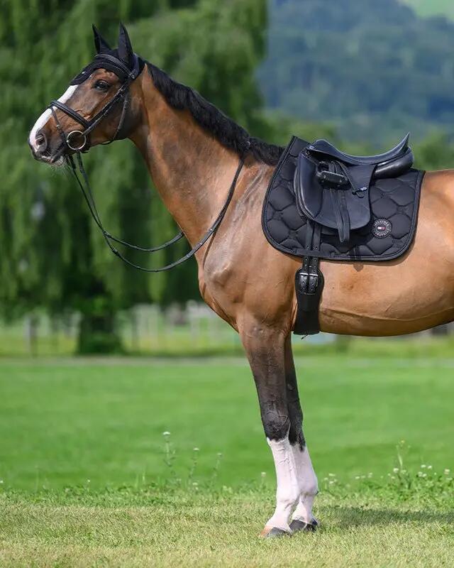 Tommy Hilfiger Equestrian Emory Zadeldek Zwart - 7/7