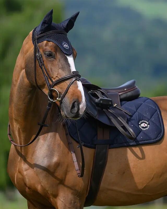 Tommy Hilfiger Equestrian Emory Zadeldek Zwart - 5/7