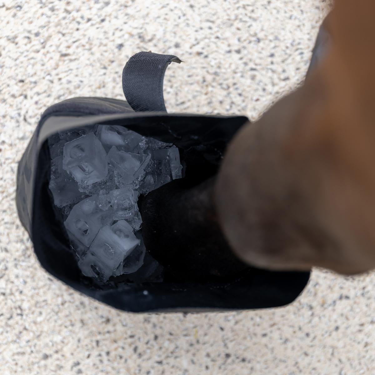 Kentucky Hoefschoenen Medisch & Koeling 1 Paar Zwart - 4/5