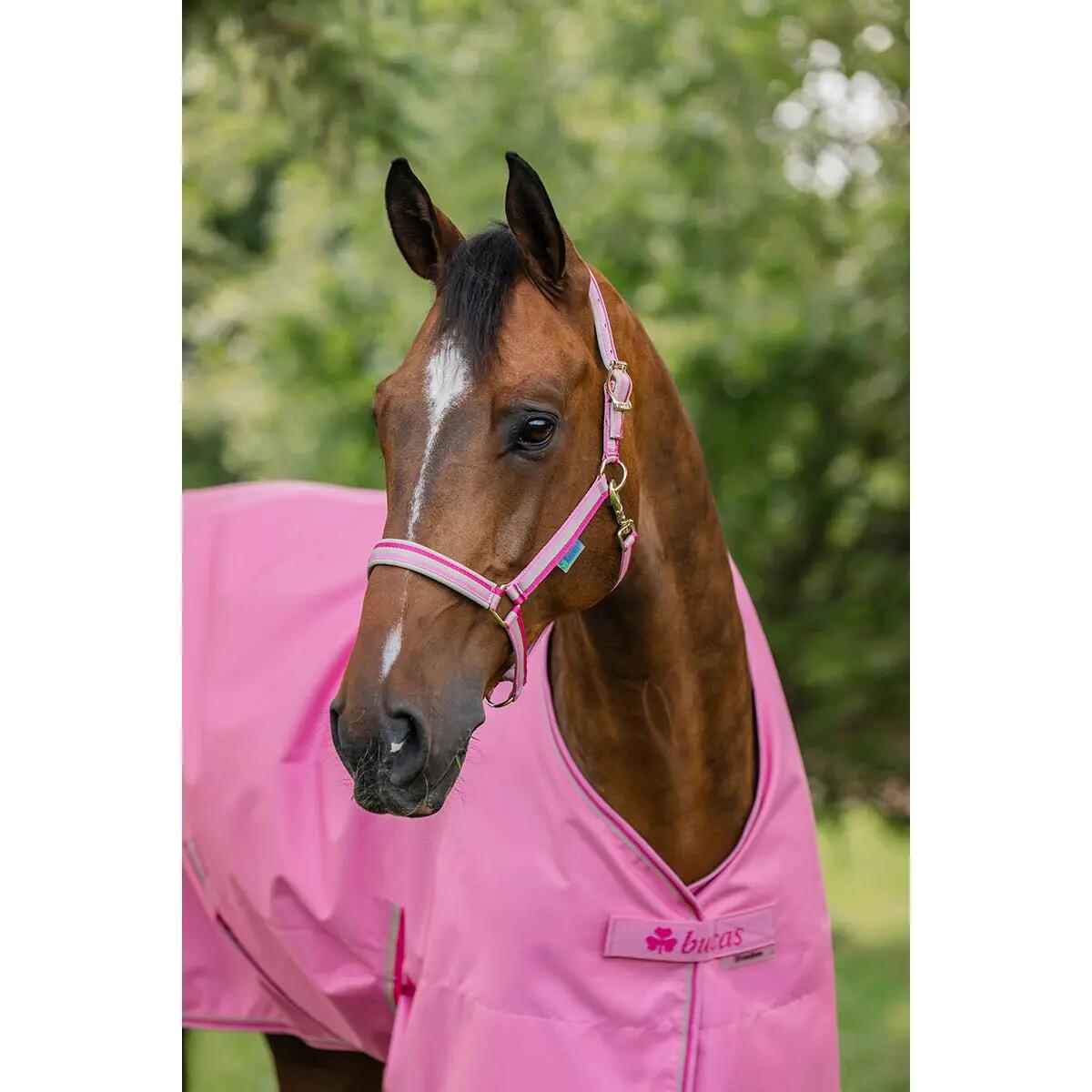 Bucas Freedom Turnout Light Roze - 3/7