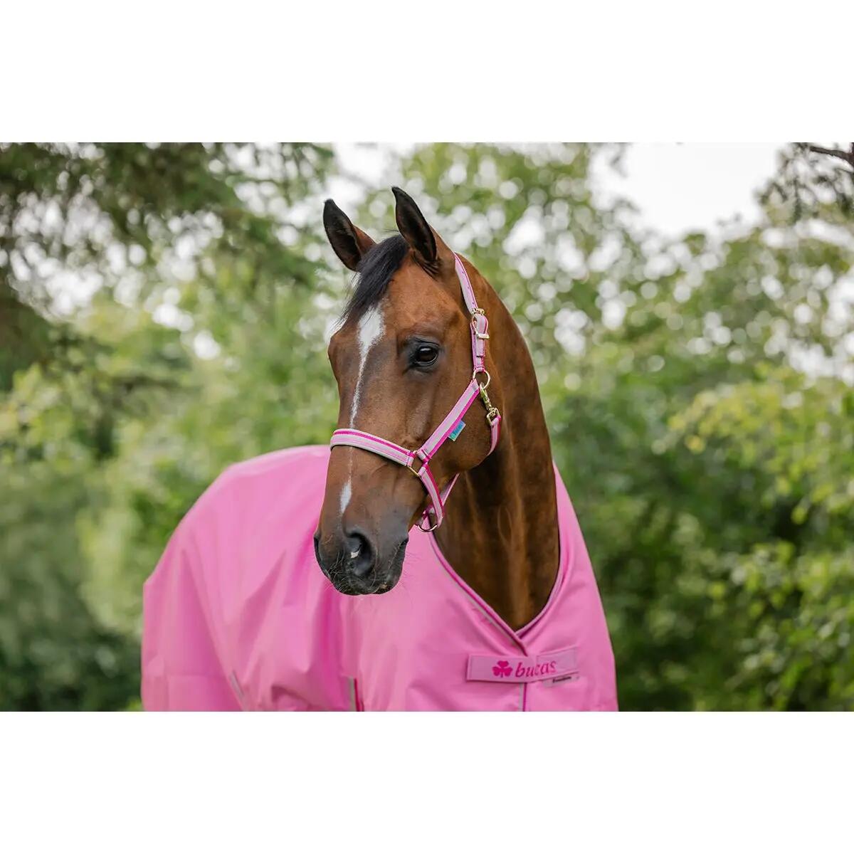 Bucas Freedom Turnout Light Roze - 2/7