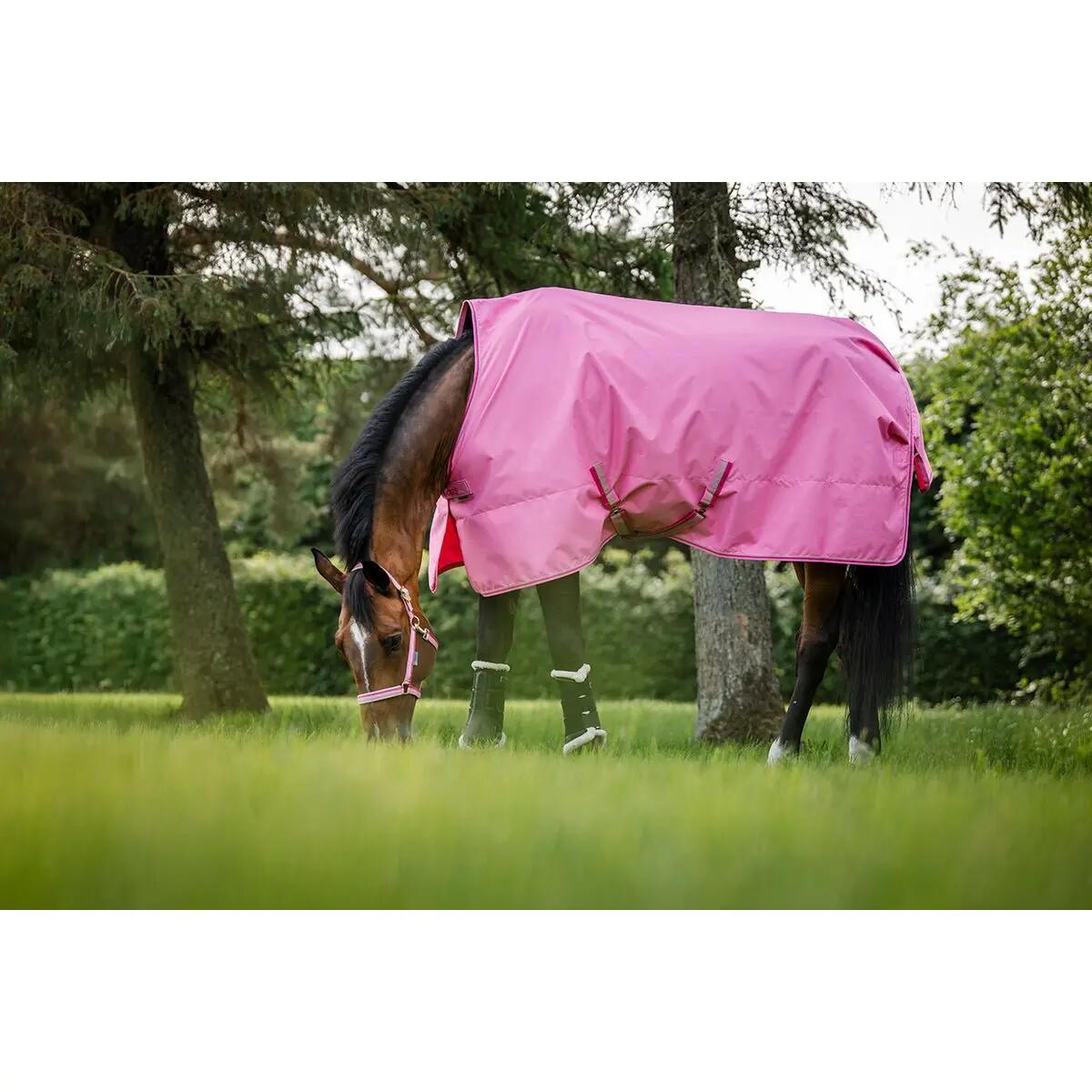 Bucas Freedom Turnout Light Roze - 4/7