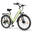 Bicicletă electrică ESKUTE C100 Plus 26" pentru navetiști, baterie 36V 13Ah