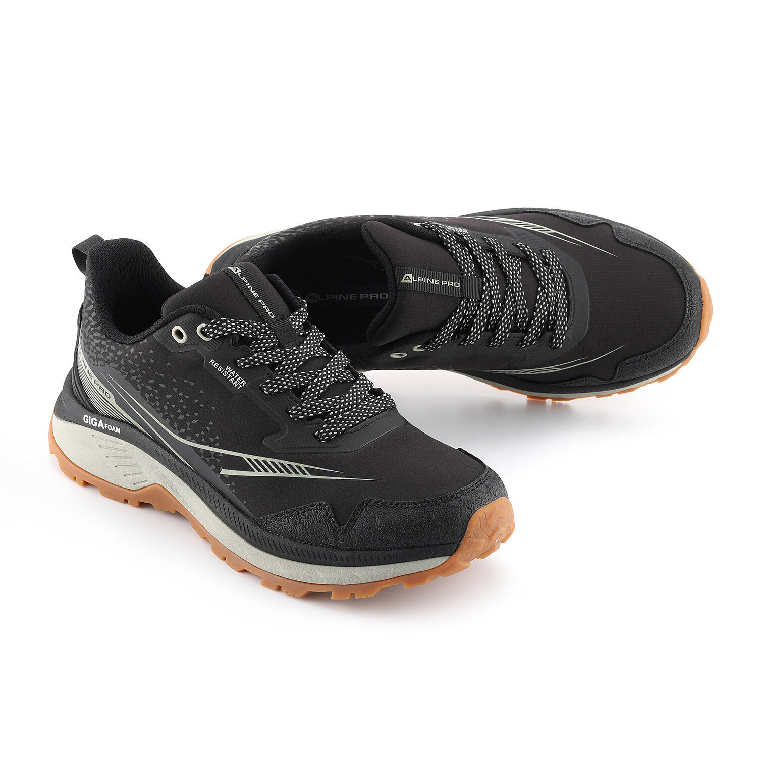 ALPINE PRO picture