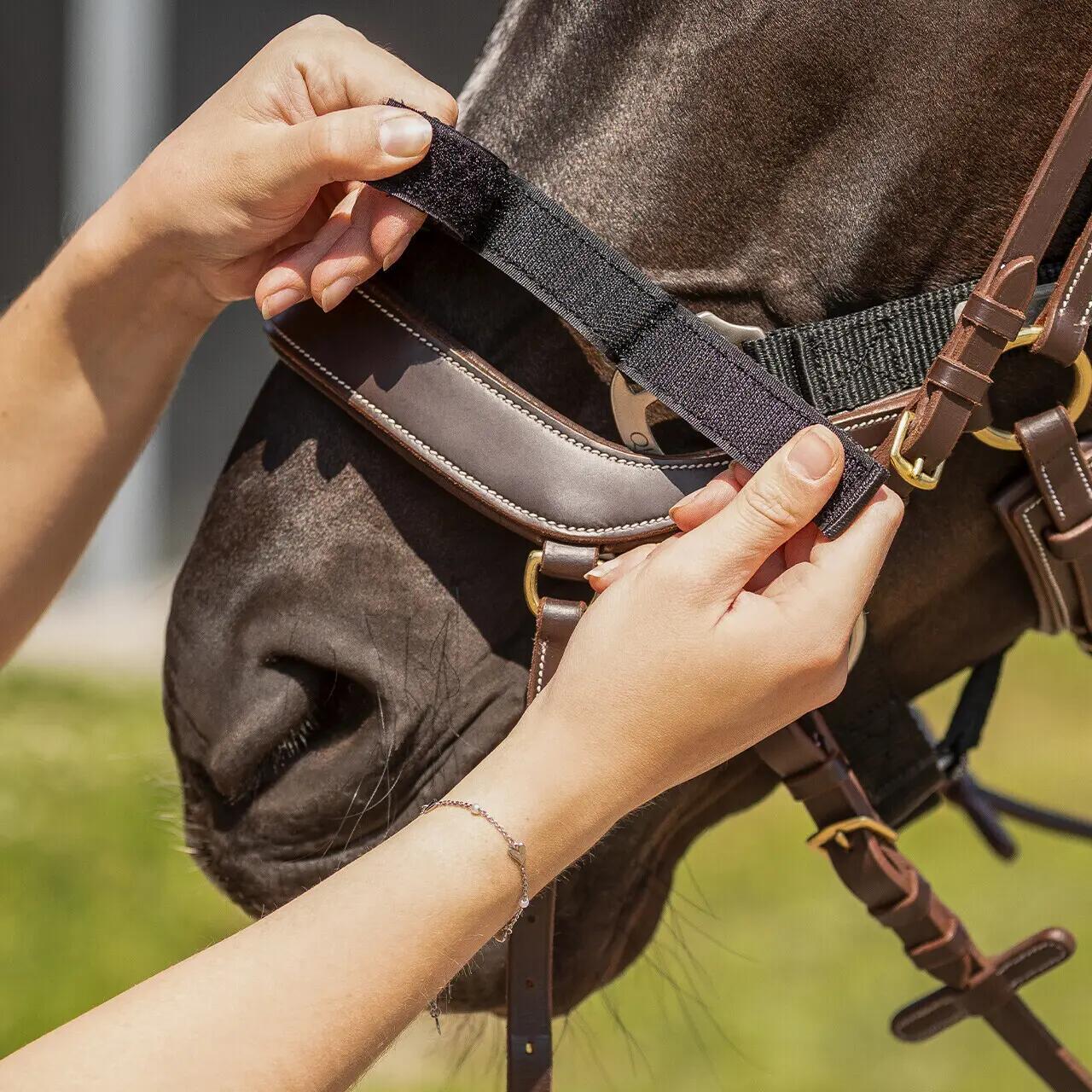 Licol pour cheval harnacher QHP 3/5