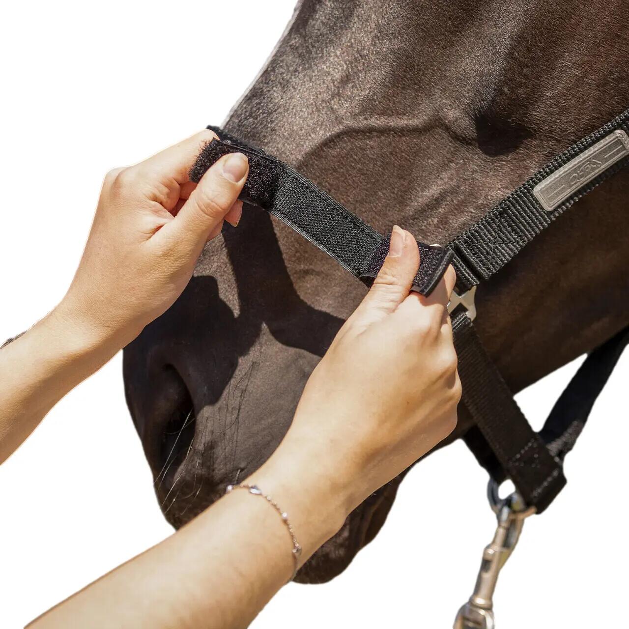 Licol pour cheval harnacher QHP 2/5