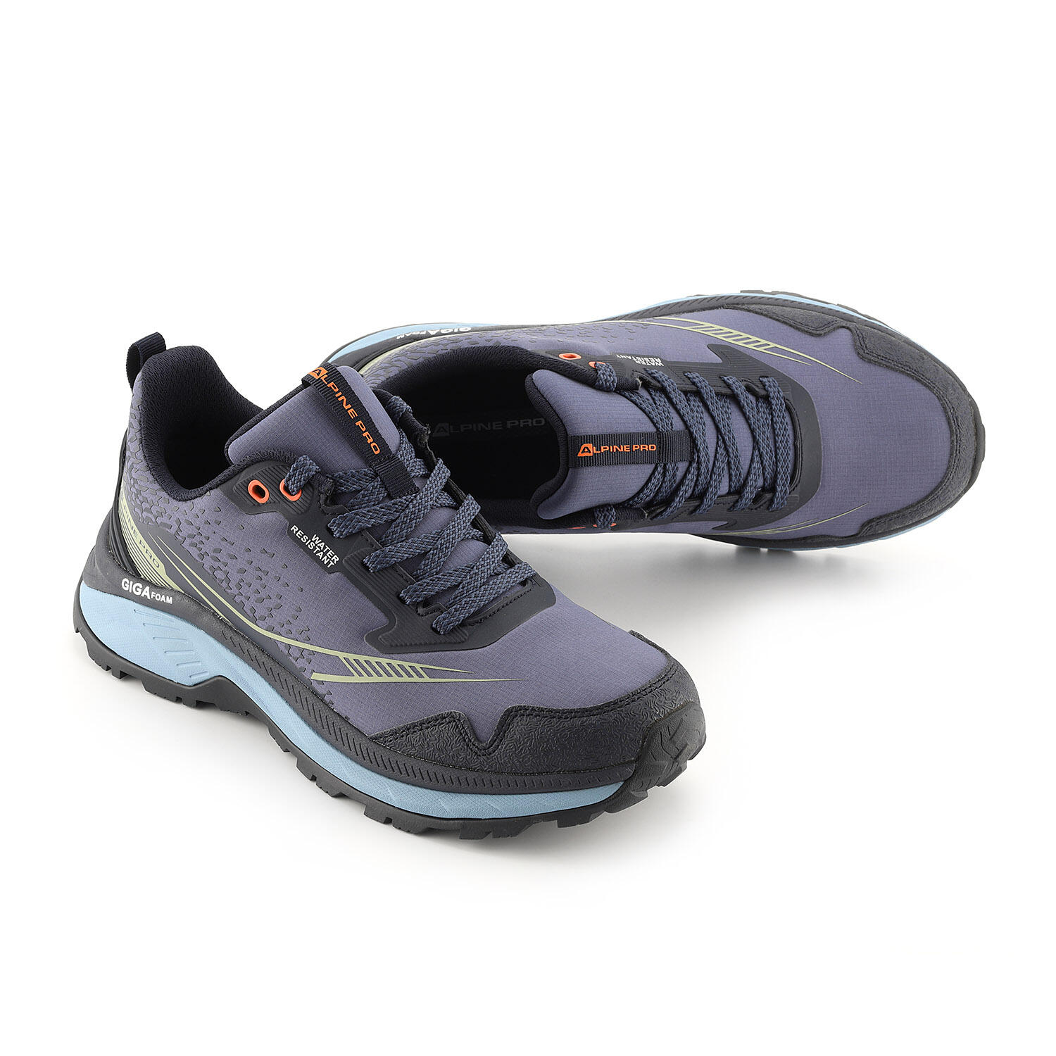 ALPINE PRO picture