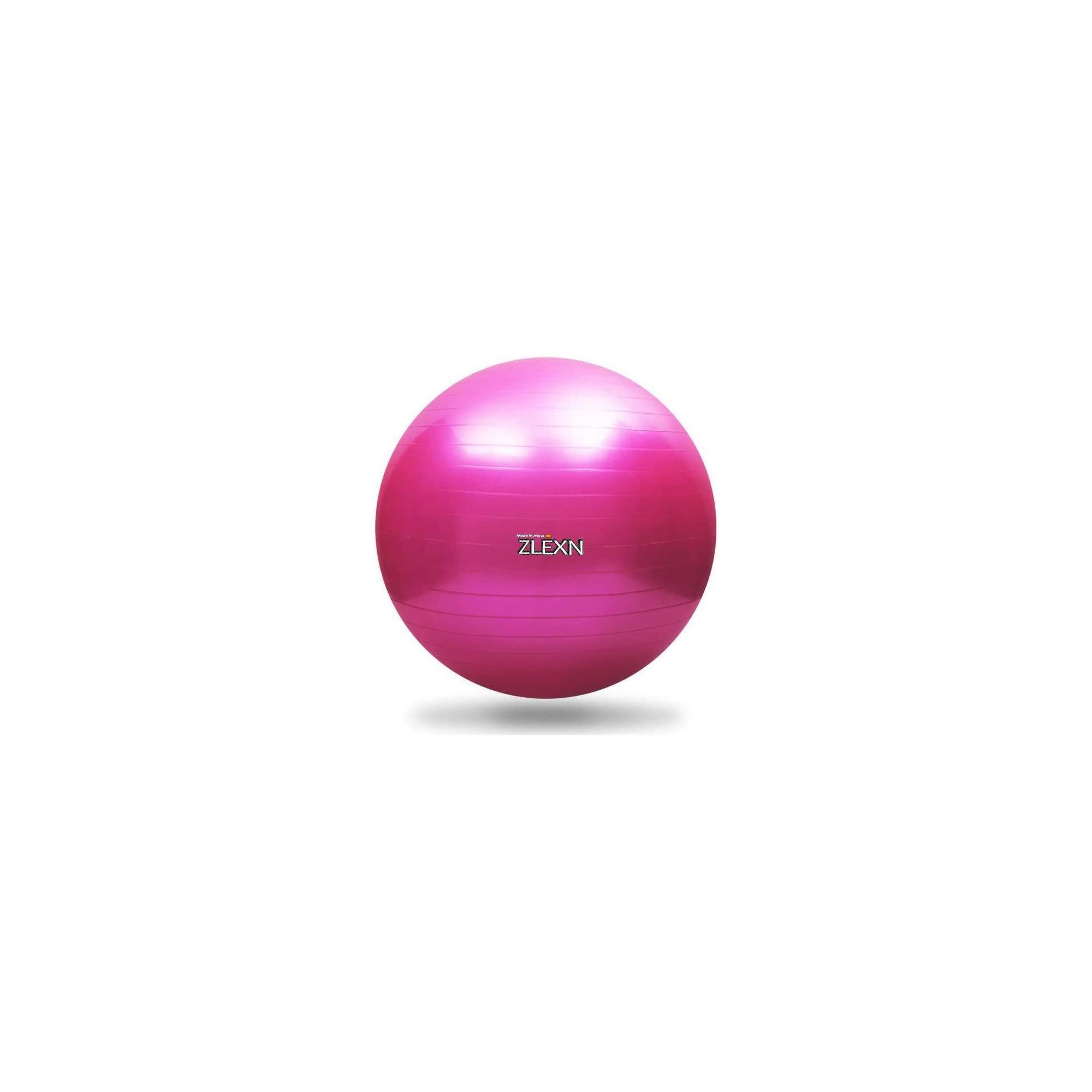 SEDCO Gymnastický míč ZLEXN Yoga Ball 65 cm